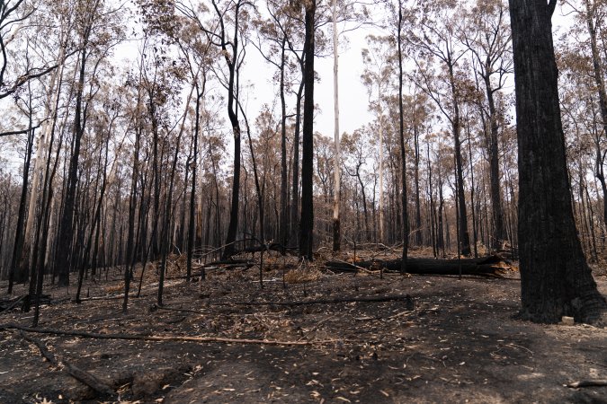 Aftermath of Victorian Bushfires 2019-20