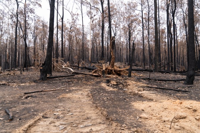 Aftermath of Victorian Bushfires 2019-20