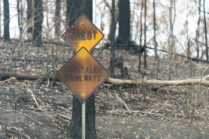 Aftermath of Victorian Bushfires 2019-20