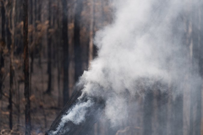 Aftermath of Victorian Bushfires 2019-20