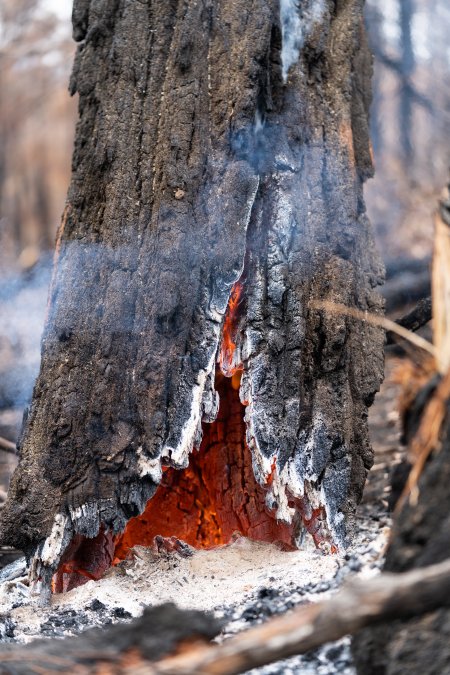 Aftermath of Victorian Bushfires 2019-20