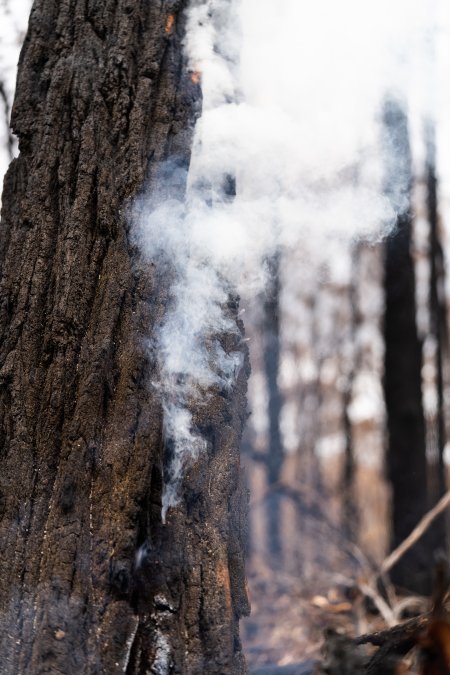 Aftermath of Victorian Bushfires 2019-20