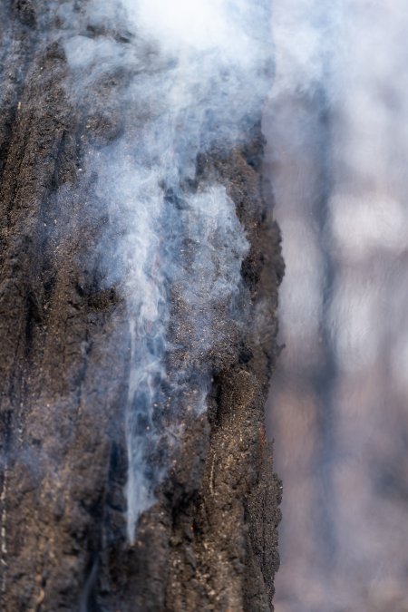 Aftermath of Victorian Bushfires 2019-20