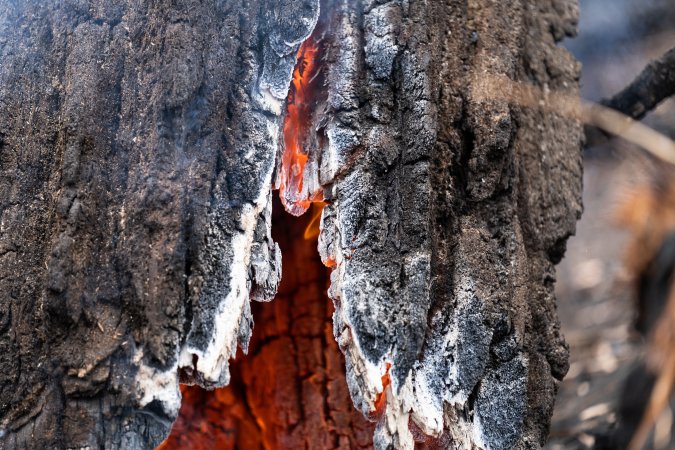 Aftermath of Victorian Bushfires 2019-20