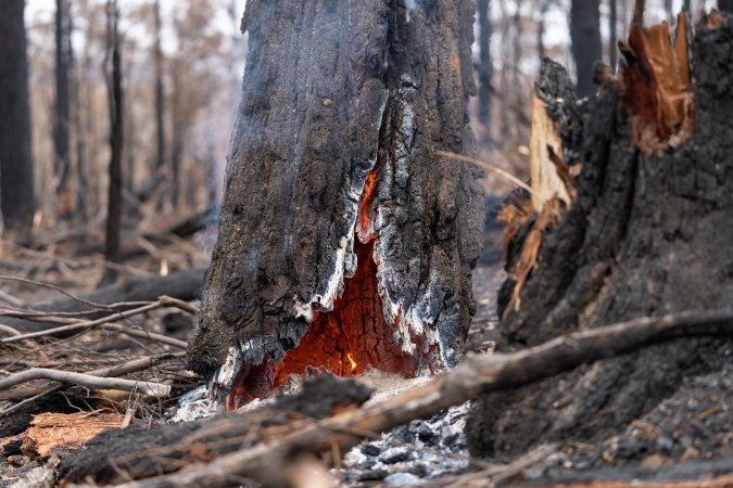 Aftermath of Victorian Bushfires 2019-20