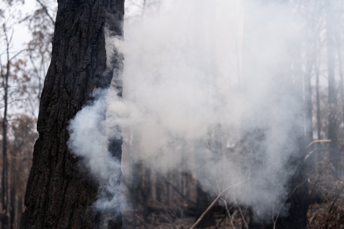 Aftermath of Victorian Bushfires 2019-20