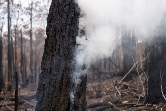 Aftermath of Victorian Bushfires 2019-20