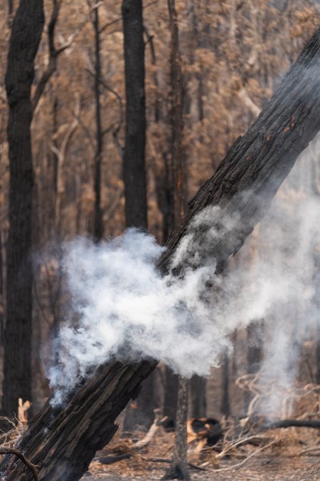 Aftermath of Victorian Bushfires 2019-20