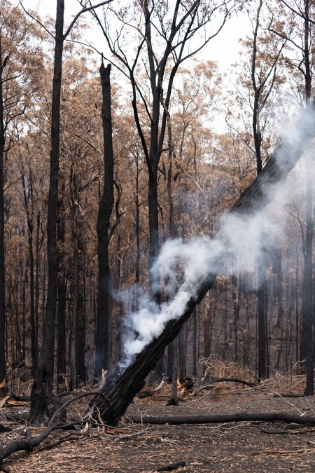 Aftermath of Victorian Bushfires 2019-20