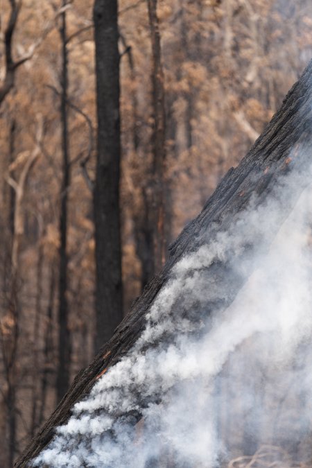 Aftermath of Victorian Bushfires 2019-20