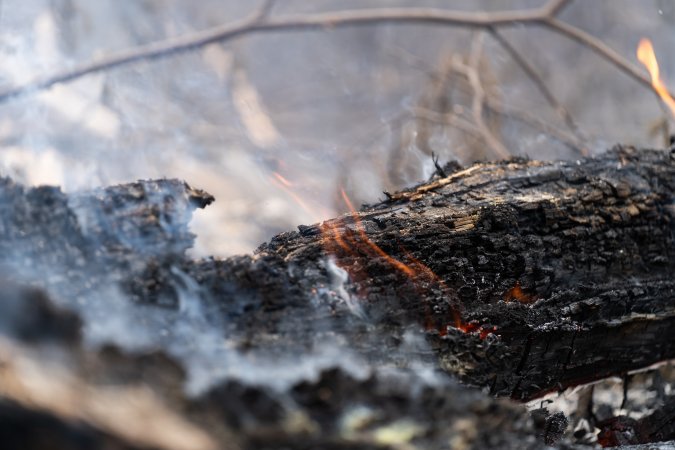 Aftermath of Victorian Bushfires 2019-20