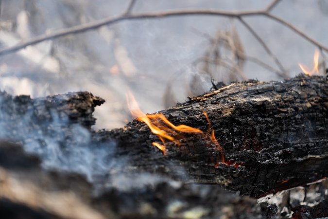 Aftermath of Victorian Bushfires 2019-20