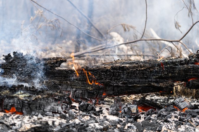 Aftermath of Victorian Bushfires 2019-20