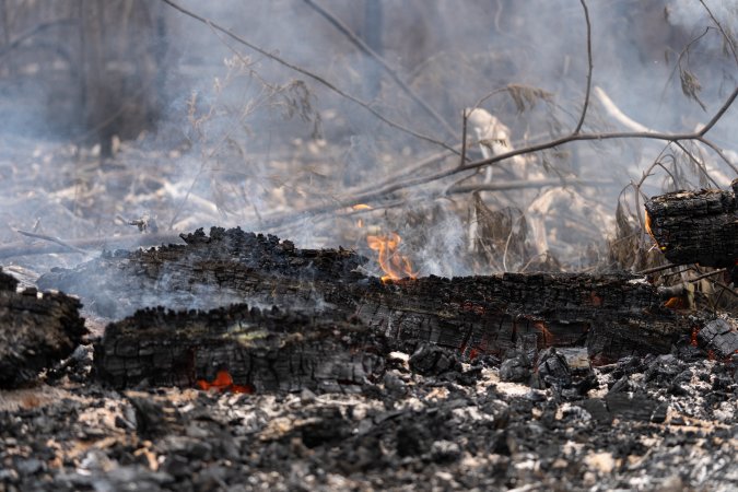 Aftermath of Victorian Bushfires 2019-20