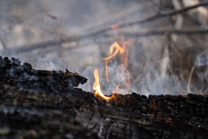 Aftermath of Victorian Bushfires 2019-20