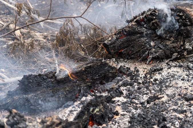 Aftermath of Victorian Bushfires 2019-20