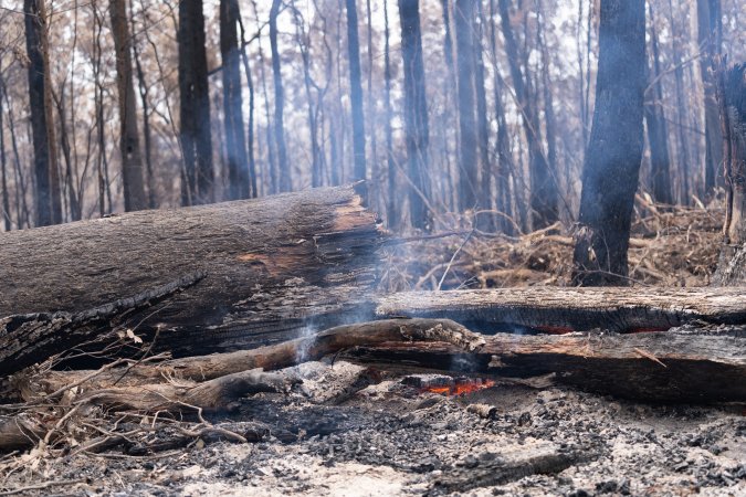 Aftermath of Victorian Bushfires 2019-20