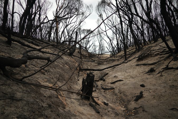 Aftermath of Australian Bushfires 2019-20