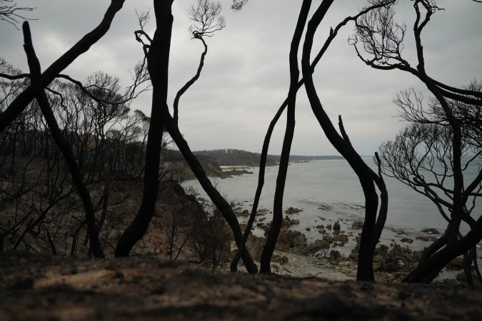 Aftermath of Australian Bushfires 2019-20