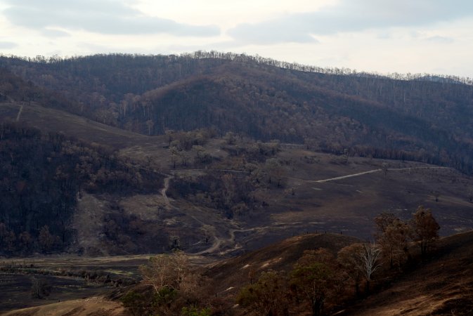 Aftermath of Australian Bushfires 2019-20