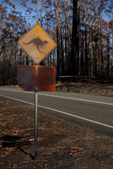 Aftermath of Australian Bushfires 2019-20