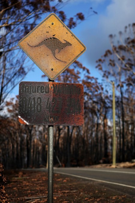 Aftermath of Australian Bushfires 2019-20