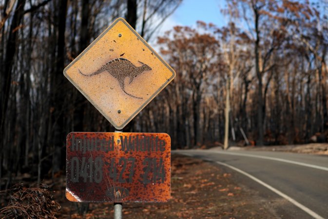 Aftermath of Australian Bushfires 2019-20