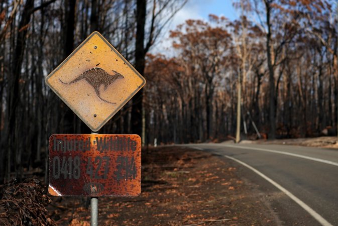 Aftermath of Australian Bushfires 2019-20