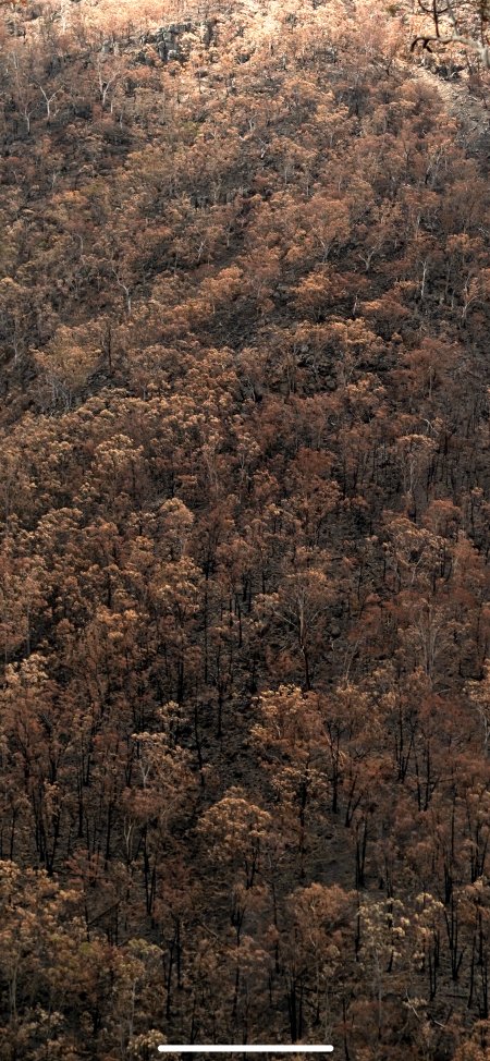 Aftermath of Australian Bushfires 2019-20