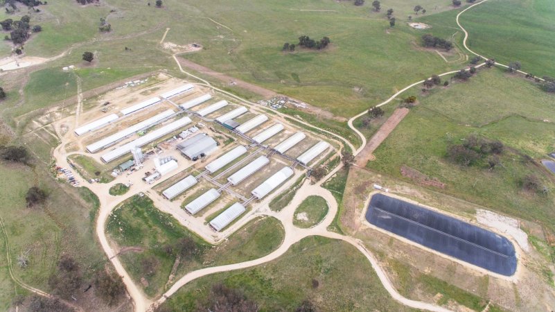 Aerial drone view of Dead Horse Gully Piggery