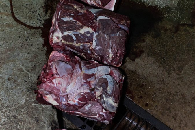 Blocks of meat laid out on kill floor