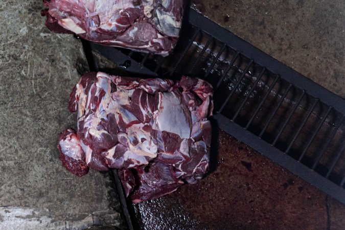 Blocks of meat laid out on kill floor