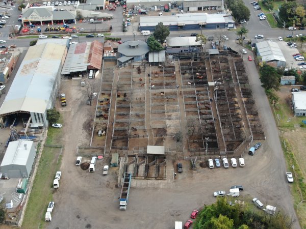 Drone flyover of horse sales