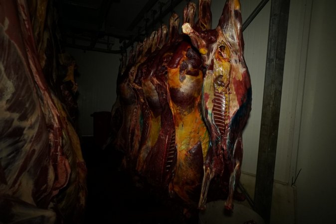 Hanging carcasses in chiller