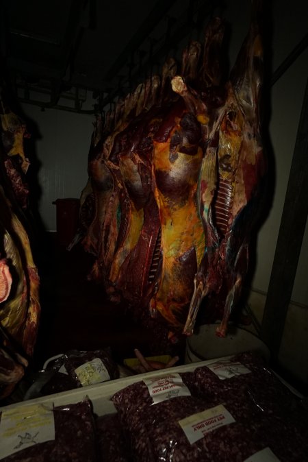 Hanging carcasses in chiller