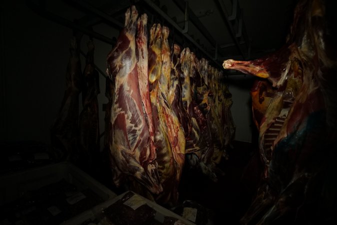 Hanging carcasses in chiller