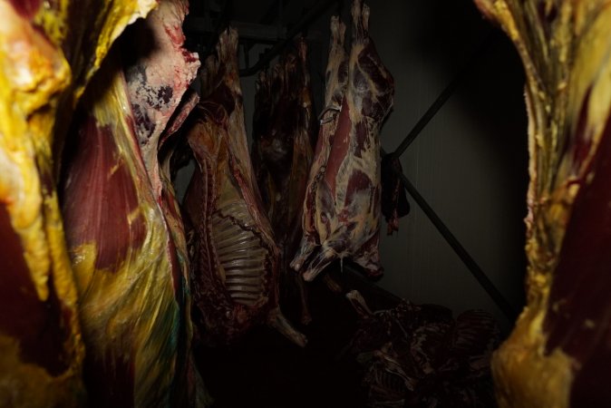 Hanging carcasses in chiller