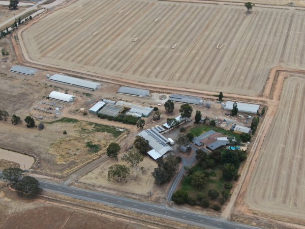 Drone flyover of turkey farm and abattoir