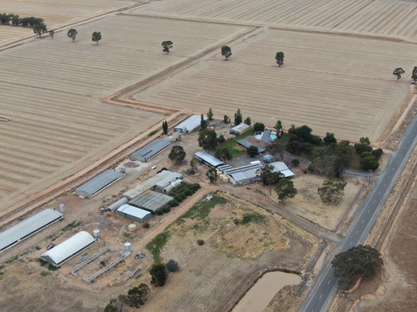 Drone flyover of turkey farm and abattoir