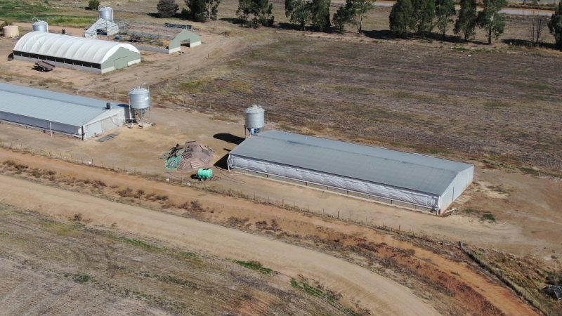 Drone flyover of turkey farm