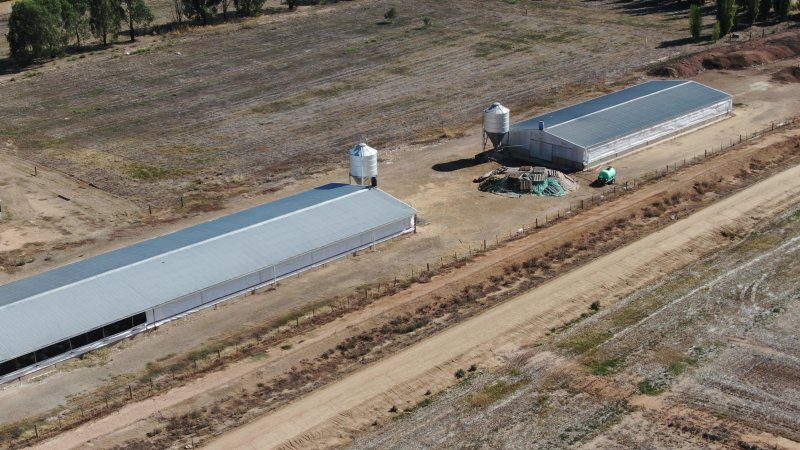 Drone flyover of turkey farm