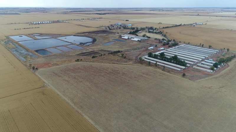 Drone flyover of piggery