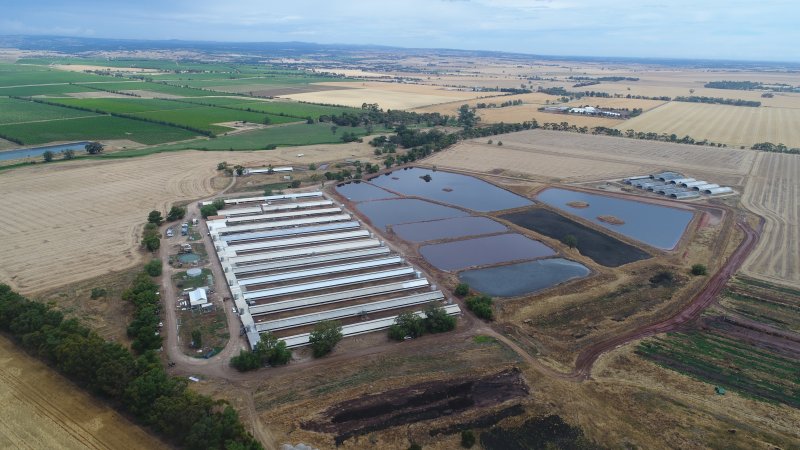 Drone flyover of piggery