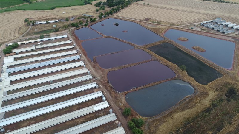 Drone flyover of piggery