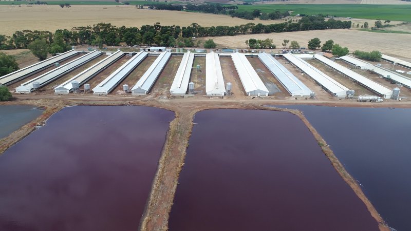 Drone flyover of piggery