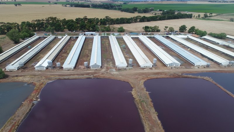 Drone flyover of piggery