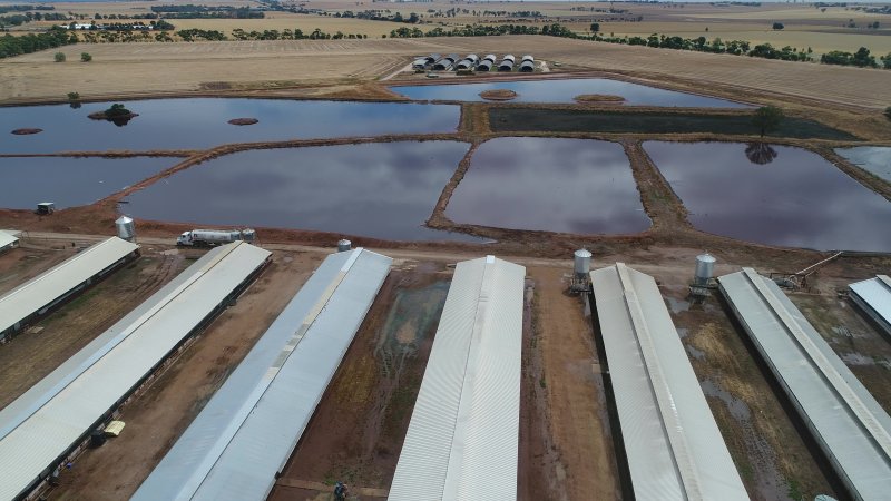 Drone flyover of piggery