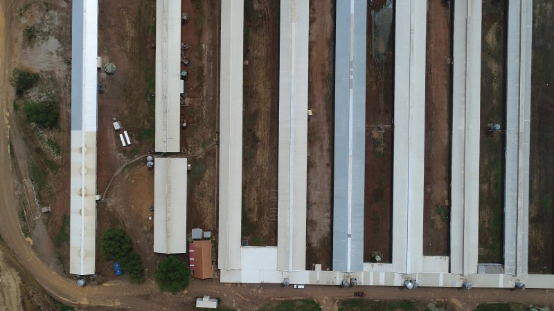 Drone flyover of piggery