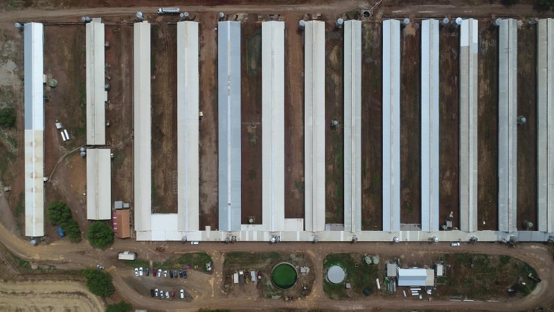 Drone flyover of piggery