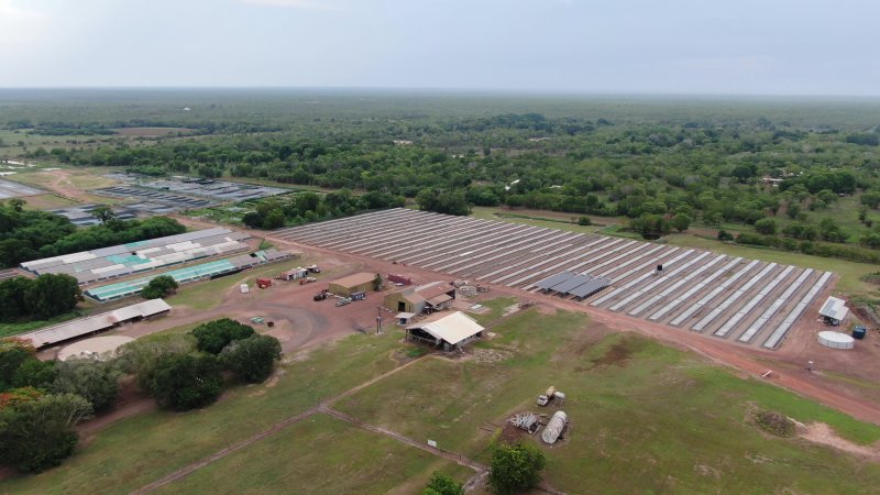 Crocodile cages - wide view